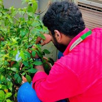 Adusumelli Akshay (B+ve blood group) (@adusumelliaksh2) 's Twitter Profile