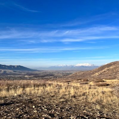 zuolyy's profile picture. 