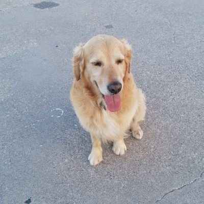 Maiurano6's profile picture. 