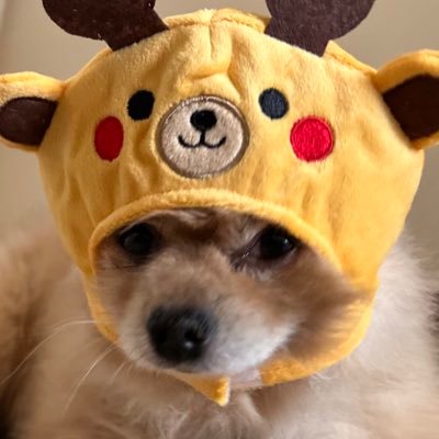 Vさんのプロフィール画像
