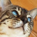 gail caldwell - @gailcaldwe6892 - Twitter