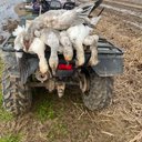 Drew Thibodeaux - @DrewThibod86776 - Twitter