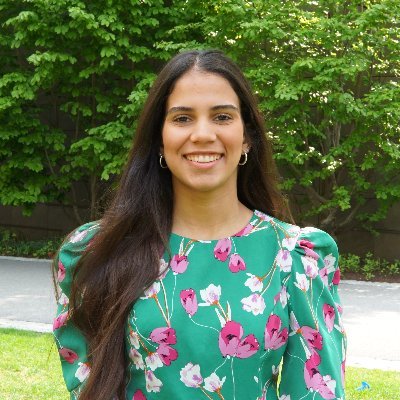 🇩🇴 MPA/ID @Kennedy_School. Fulbrighter. Economista @PUCMM.