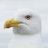Galjeb_'s profile image