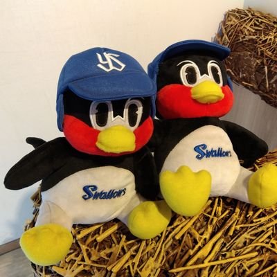 xLn8P9vSpEcUJR9's profile picture. 🐧ヤクルト応燕垢🐧

#みんな大好き✨✨
だけど特に推してます#27#00

#スワローズファンと繋がりたい
仲良くしていただけたらうれしいです🙏
無言フォロー失礼いたします🙇

2025年1敗