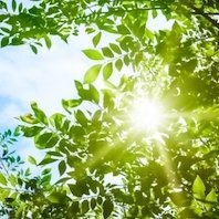 元幸福の科学信者のコウちゃん (@belrtwj4gs36052) 's Twitter Profile Photo