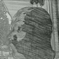 DarkHorseTR's profile picture. Cyborg/T-800 Model 101