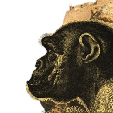 ViscalacantWeb's profile picture. Noticias de humor y sátira. El humor posiciona.
Síguenos en Whatsapp: https://t.co/3yffr1iGCI