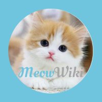 MeowWiki (@meowwiki) 's Twitter Profile