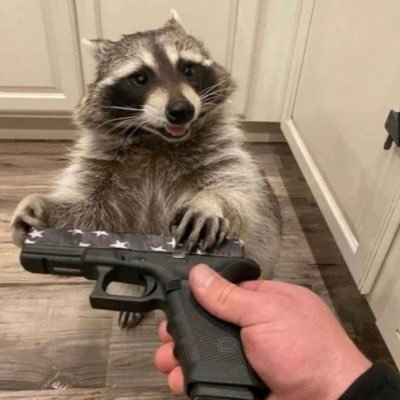 CLS63PERF's profile picture. #LH44