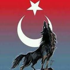 dark_black33's profile picture. Damarlarında Türk kanı akan herkese selam olsun, Tanrı Türk'ü korusun...!