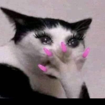 Tsholofelo_B's profile picture. 