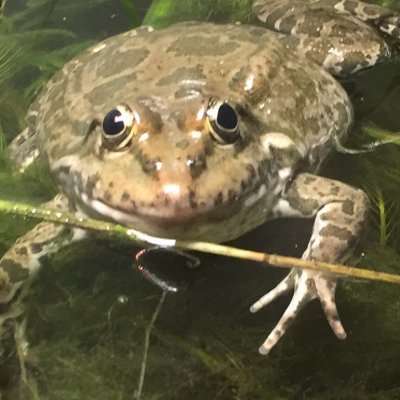 FumerWilquin's profile picture. 