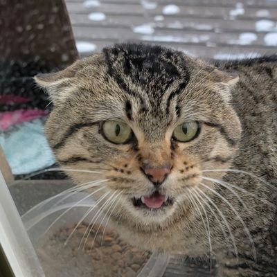 SpicyMcSpice88's profile picture. Don't follow me, I'll just block you.