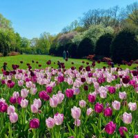 Happy Bella (@lin315315) 's Twitter Profile