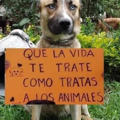 GaumetSV's profile picture. 