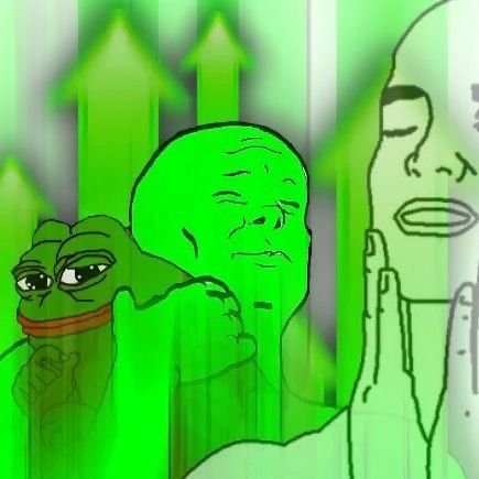 DrazWoolen's profile picture. Crypto beginners