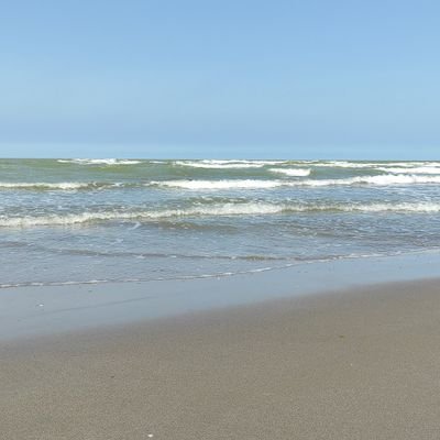 Alavi7Reza's profile picture. 