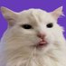 Dimple ⁷ (@ariatnehm) Twitter profile photo Dimple ⁷ (@ariatnehm) Twitter profile photo