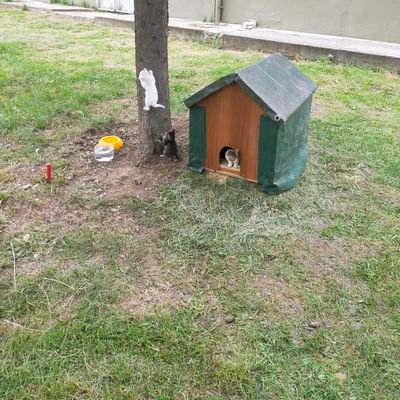 SametKoolu10's profile picture. ,!!