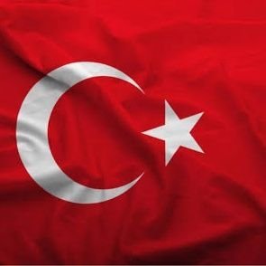 sefketunal's profile picture. 