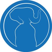 Stereotyped Elephant World (@_sewnft_) 's Twitter Profile
