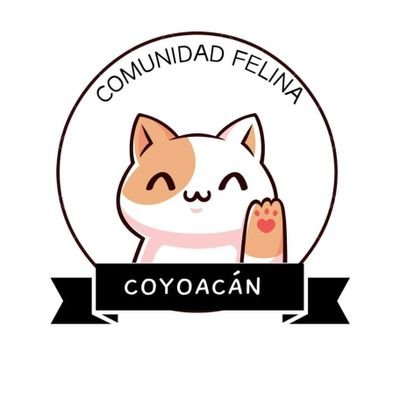 Vecinos organizados para la protección, rescate, esterilización y adopción de gatos ferales en @Alcaldia_Coy