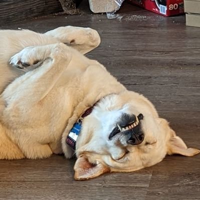 bigGbythesea's profile picture. 