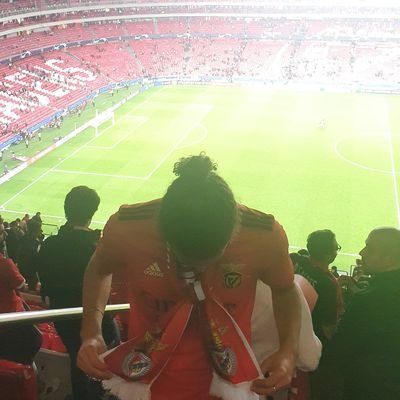 ✨️Sou do Benfica e isso me envaidece✨️ ❤️🤍 Vamos Benfica ! Vamos Portugal ! 💚❤️ 🇵🇹🇨🇵