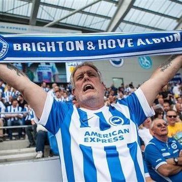 bhafc 🐟
NOT bait.
albion fan ever since we started winning.
hate palace 😠