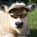 maruchan (@mariarusssell) Twitter profile photo maruchan (@mariarusssell) Twitter profile photo