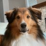 B_radCR's profile picture. my channel is doomed