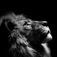 عادل شاوش 𐩲𐩱𐩵𐩡 𐩦𐩱𐩥𐩦 (@calm_storm132) Twitter profile photo
