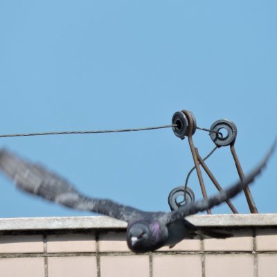 PauloFe51020624's profile picture. Um livre pensador, aprendendo com a vida  😁😁🏳️‍🌈