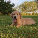 Peter Doerksen - @PeDoerk - Twitter