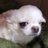 sofffiamunozz's profile image