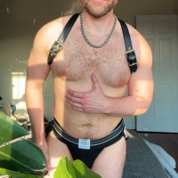 Lionheart (@lionheartalt) 's Twitter Profile Photo