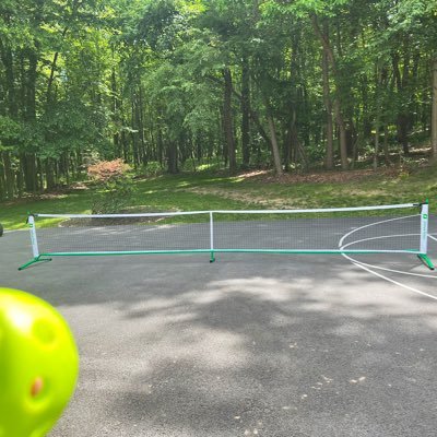 Partner of @JustTryItPickleball on IG and FB… Pickleball Enthusiast