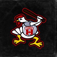 Harrisonburg Turks(@HbgTurksVBL) 's Twitter Profile Photo