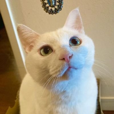 シンプルさが成功の鍵です
初めてなので勉強させてください!ちなみに初心者です😁
ぜひフォローしてください、一緒に仲良くしましょう