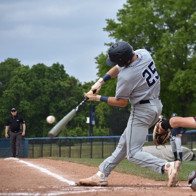 Penn State Harrisburg @PSHbgBaseball  ||  
Owen J. Roberts, Pottstown Pa, Class of 2022 ||                                       
brwaltimyer@comcast.net ||