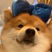 cc wsxwsx (@cwsxwsx56894) Twitter profile photo cc wsxwsx (@cwsxwsx56894) Twitter profile photo
