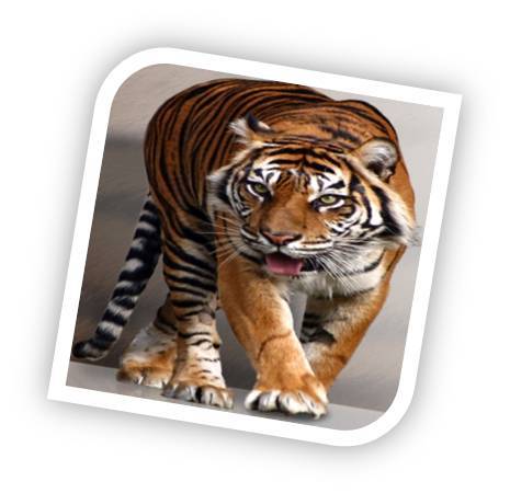 ProwlerPI's profile picture. Prowler Investigations has investigators throughout Texas to fulfill all your investigative needs.  We offer investigations, searches, process serving and more