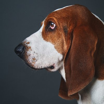 Daniel881026's profile picture. 