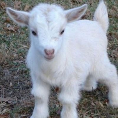 nadie36788893's profile picture. 