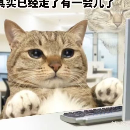 7七7さんのプロフィール画像