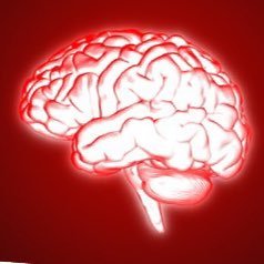 Neurosurgeon. Evidence Based Medicine. SoMe Ambassador @NeurocritCareJ. 🇺🇸🇺🇸🇺🇸🇺🇸