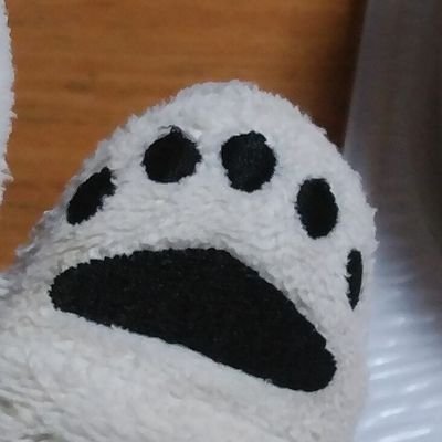 kumarshmall's profile picture. 