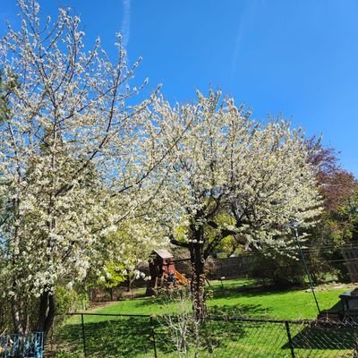 ryley44's profile picture. Civil Eng.
Ukrainian-Canadian. 
🇨🇦🇺🇦

Support for Ukrainian freedom.