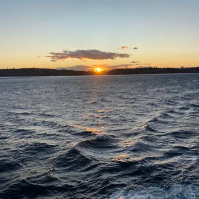 D0ugD1mma's profile picture. I like Btd